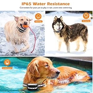   Wireless-Dog-Fence-System-for-2-Dogs-2023-Wireless-Fence-Remote-Training-Collar-Portable-Electric-Dog-Boundary-System-Rechargeable-Garden-Wireless-Fence-Suitable-for-Puppy-Small-Large-Dogs