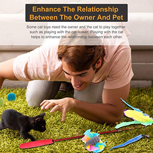 mewmewcat Conjunto de pacote de variedade de brinquedos interativos de brinquedo de 10 peças para ga