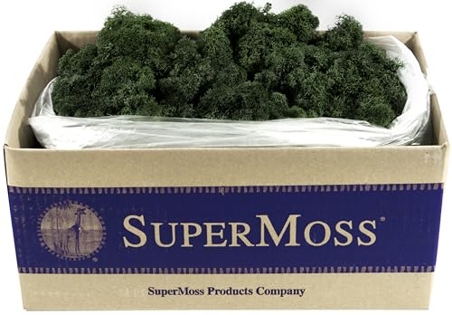 SuperMoss 21786 Reindeer Moss Preserved Black Appx. 3 lb Bulk Case product thumbnail 16