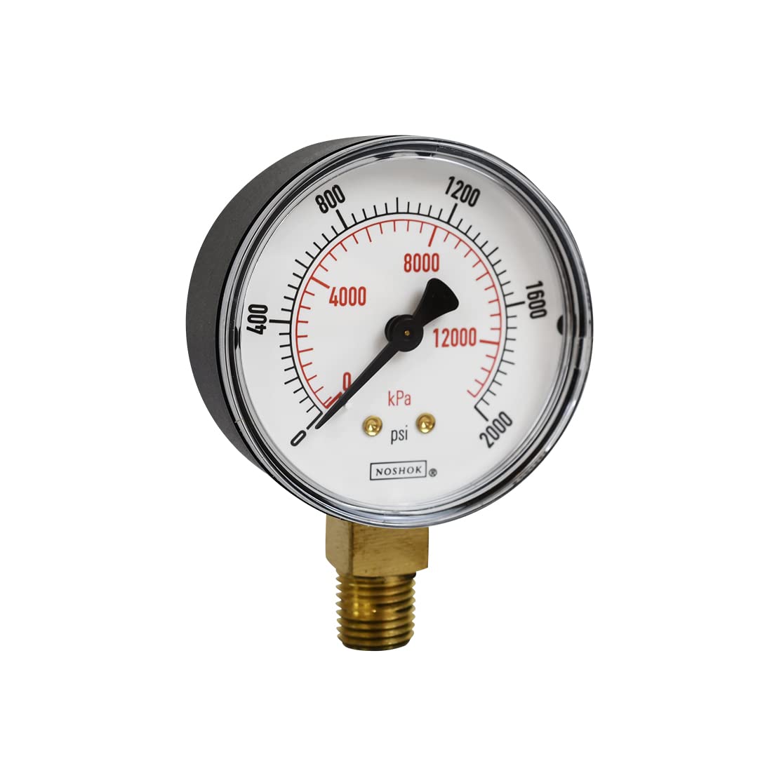 NOSHOK 100 Series ABS Dual Scale Dial Indicating Pressure Gauge with