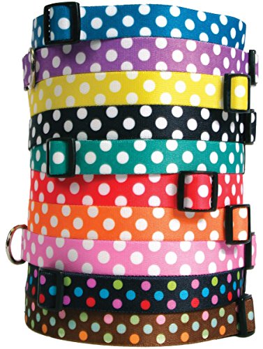 Yellow Dog Design Neopolitan Dog Collar with Tag-A-Long ID Tag System-Large-1