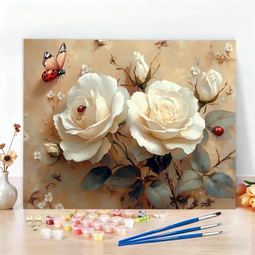 g G LbghG hDIYG  G LoX hG, DIYG fW^GS҂ƑlLoXɔԍŃyCg邱ƂړI, ̕ǂ̉Ƃ̑, Ղ j  ւ̃Mtg, t[X 70x100CM W