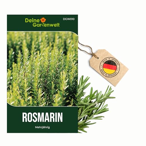 Rosmarin Mehrjährig Samen - Rosmarinus officinalis - Rosmarinsamen - Kräutersamen - Saatgut für 20 Pflanzen