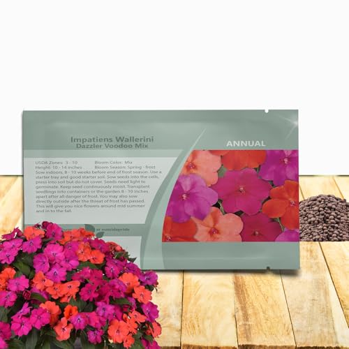 Outsidepride Dazzler Voodoo Mix Impatiens Flower Seeds - 75 Pcs Annual, Compact & Pollinator Friendly, Impatiens Seeds for Planting w/Vibrant, Abundant Blooms for Shade Gardens & Container Displays