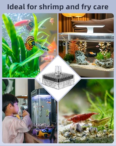 Image of Pawfly Aquarium Sponge Filter, Small Fish Tank Filter with Foam and Air Stone, Sponge Filter for Fish Tanks up to 5 Gallons (Air Pump Not Included)