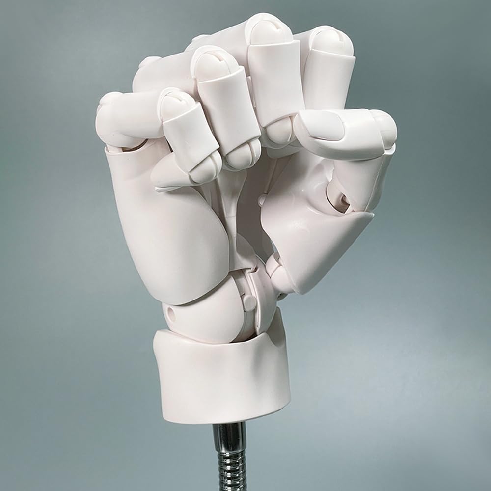 1:1 Flexible Right Hand Model, Joints Moveable Artists Manikin Hand Figure for Arts Drawing Sketching Painting Jewelry Display (White, one Size)