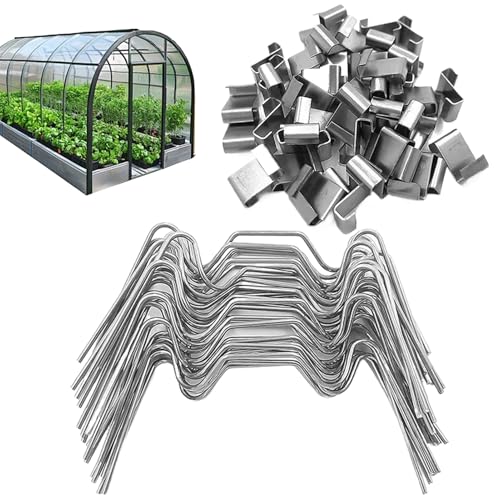 K[fNbv | W/Z^Cv KXplNbv | gŒNv - EK[fECYhxbhEpeBIEOEgXEŐp