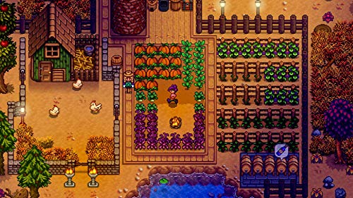 Stardew Valley (Nintendo Switch) by Fangamer - Used condition - Image 2