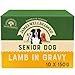 Price comparison product image James Wellbeloved Senior Lamb in Gravy with Rice & Vegetable 10 Pouches, Hypoallergenic Wet Dog Food, Pack of 1 (10x150 g)