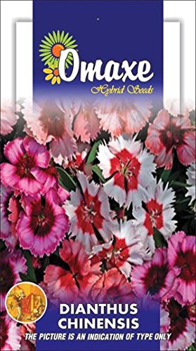 Indica Super Agri Green Dianthus CHINENSIS Mixed Winter Flower 50 Seeds Pack (B01CXBRFWY) Amazon Price History, Amazon Price Tracker