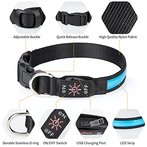 TENXSNUG Collare Luminoso per Cani Ricaricabile