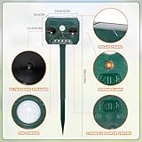 Raytex B0F6N6LTPM lato 3