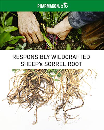 Sheep Sorrel Root Tea, Add-on for Essiac, Easy to Use infuser Bags, Value Pack, 16 infuser bags
