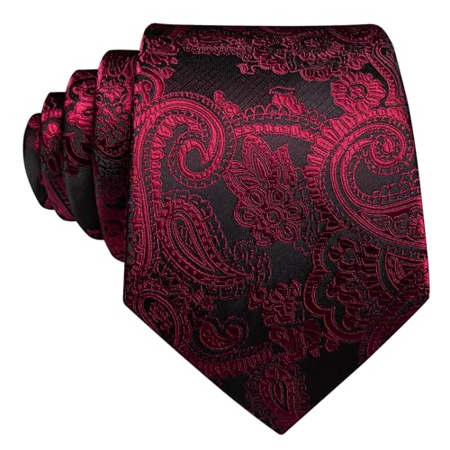 Image of Barry.Wang Paisley Tie for Men Silk Woven Necktie and Tie Clip Set Wedding Party Business Formal