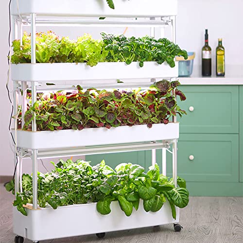Kit de culture hydroponique à 3 niveaux avec 90 espaces de plantation pour la maison et le bureau, idéal pour la culture des légumes