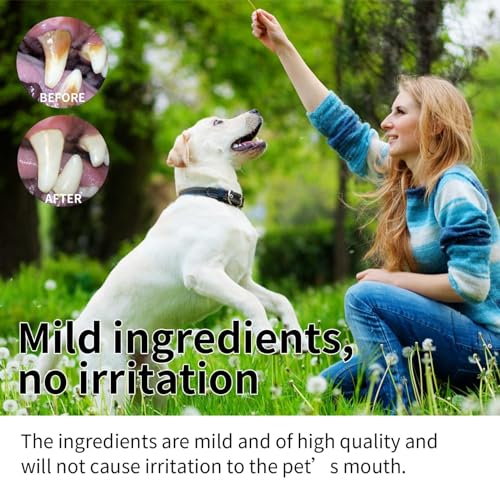 Zahnpflegespray für Hunde 100ml - Zahnsteinentferner Hund - Dentalspray für Hunde Zahnstein - gegen Mundgeruch Hund - Zahnreinigung Hund - Effektive Zahnpflege Hund - Hund Zahnstein Spray (100ML)