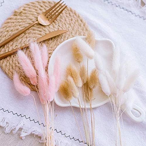 Home Decoration Lagurus Ovatus Rabbit Tail Dried Flowers, Real Flower, Eternal Flower Dried Grass,Flower Bouquet, Natural Material Shooting Props Dried Flowers 50PCS (Light pink)