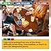 HOLY QUEST, A Fun Bible Trivia Game, Extra Value 400 Cards Pack with 6 Engaging Categories, Perfect for Bible Study, Youth Groups and Church Gatherings, Great Christian Game for Adults and Family