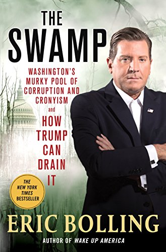 The Swamp view 2