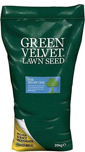 Green Velvet 20Kg Lawn Seed The Shady One