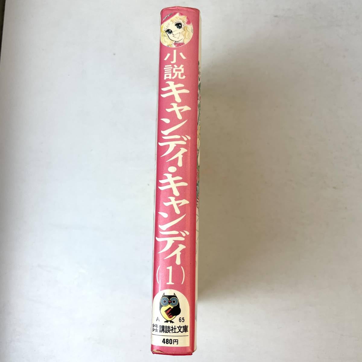 Amazon.co.jp: 【初版】小説キャンディキャンディ (1) 水木杏子
