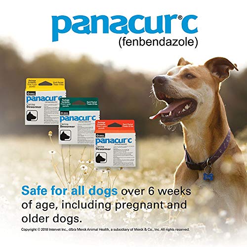 Panacur 446700-C Canine Dewormer  thumb #2