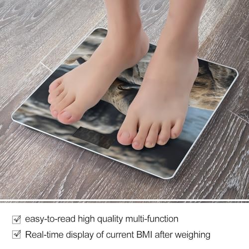 Báscula digital de baño con vidrio templado y pantalla LCD miniatura 5