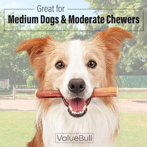 ValueBull-Bully-Sticks-for-Dogs-Medium-6-Inch-100-Count-Bulk-Pack-All-Natural-Dog-Treats-100-Beef-Pizzles-Single-Ingredient-Rawhide-Alternative ValueBull Bully Sticks for Dogs Medium 6 Inch 100 Count Bulk Pack All Natural Dog Treats 100 Beef Pizzles Single Ingredient Rawhide Alternative