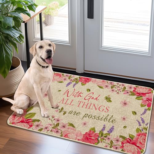 Door Mat-Non-Slip Rubber Back Welcome Mat for Front Door,Indoor Outdoor Entryway,Durable & Absorbent Low Profile Doormat for Home Entrance,Anything is Possible 17x30 in