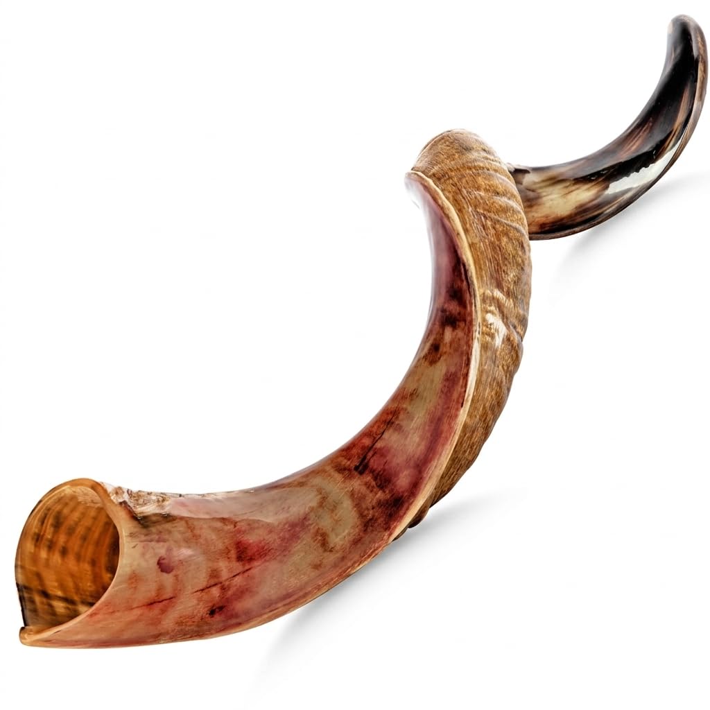 Photo 1 of Kosher Kudu Shofar Horn from Israel 43”-45” – Traditional Half Polished Kudu Shofar Holy Voice Easy Blowing Ancient Jewish Musical Instrument