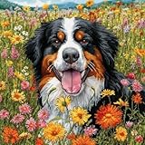 Printed Pattern Embroidery Canvas:The cross stitch patterns is clearly printed with small squares which are coloured and marked with symbols. Each symbol corresponds to a cross-stitch thread color. The symbol is written on the chart, and the correspo...