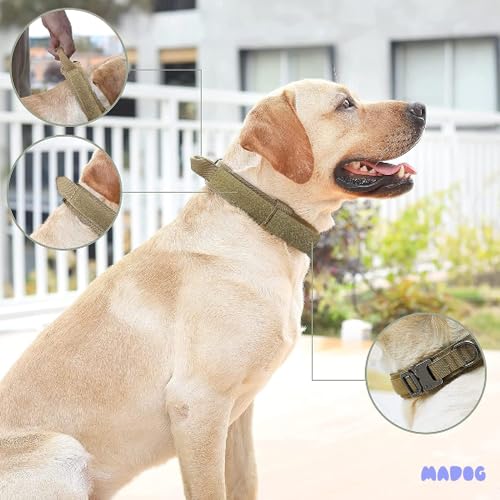 Coleira e Guia Elástica Cachorro Grande Forte MADOG Comander (Verde Claro, XG)