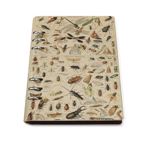  CXg  [Y[t 蒠 VXe蒠 6 O m[g rWlX蒠 A5 oC_[m[g  蒠Jo[ ͂ ItBXpi [ iw a v[g Mtg h PUv