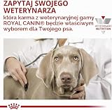 Royal Canin Veterinary Renal | 12 x 200 g | Kompletna karma dietetyczna dla dorosłych psów | Może pomóc w wspomaganiu czynności nerek w przypadku przewlekłej niewydolności nerek | Mus