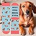 BEST DOG MOM EVER Calcetines Divertidos Perro para Mujer Madre Imagen de BEST DOG MOM EVER Calcetines Divertidos Perro para Mujer Madre