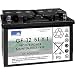Produktbild EXIDE BLEI-AKKU CYCLIC GF-Y-1 12V 51 AH