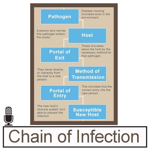 Chain of Infection cover art