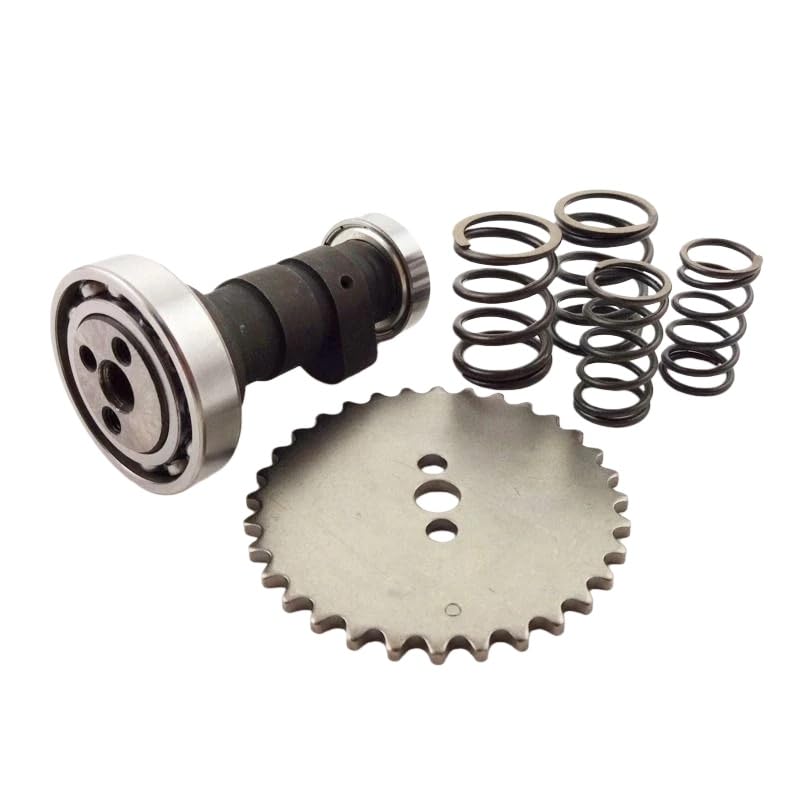 Dreammotion Kit di albero a camme da corsa Z40 per motore YX140 YX 140cc 1P56FMJ pit bike 140cc Moto tutto terreno