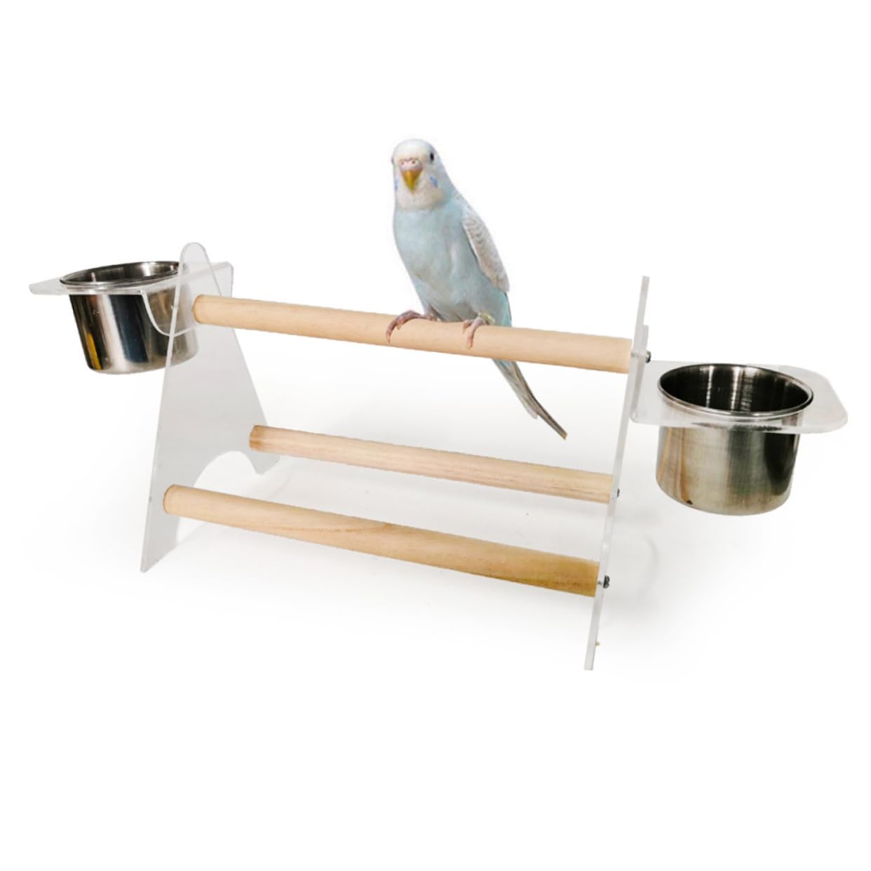 Hohopeti Accesorios para Loros Loro Suministros Percha De Acrílico Perca De Pájaro Tazón De Loro Alimentador De Aves Birdemia Percha De Pájaro Loro Juguetes Bambú Escritorio
