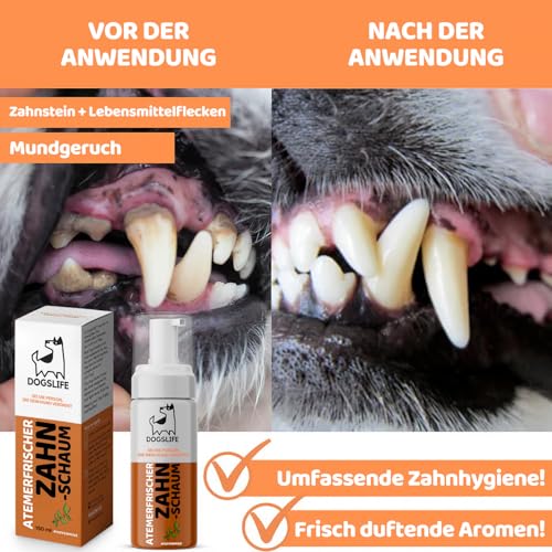 Atem-Erfrischer für Hunde | Pfefferminz Mundspülung | Sicherer Zahnschaum | Gegen Mundgeruch | 150ml Dental Spray für alle Hunde | It's A Dogs Life