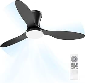 Ventilador de Teto com Controle Remoto Silencioso 6 Velocidades Função Reversa LED 21W Ajustável com Memória Moderno 220V/110V, Preto