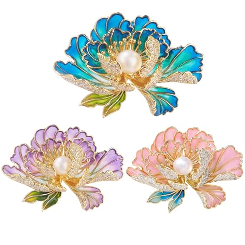 Coollooda u[`  RT[W 3   ԙ p[_Ch GKg Ǝ w  Zj[ LO ̓̃v[g  D P u[` ANZT[