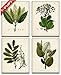 Botanical Wall Art - Set of Four Sage Wall Art Prints, Vintage Botanical Prints (8x10) Unframed - Sage Bathroom Accessories Kitchen Botanical Decor, Plant Poster Green Prints, Nature Plant Prints