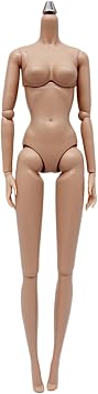1/6 Scale Action Figure, Multi Jointed Movable Female Action Figure Body for Display Collection