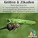Grillen & Zikaden, Naturgeräusche in hervorragender Aufnahmequalität zum Entspannen, Einschlafen oder zur Milderung von Tinnitus-Geräuschen