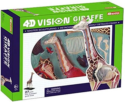 Amazon Co Jp 4dキリンモデル取り外し可能なパズル組み立ておもちゃの解剖学動物の臓器の骨格モデル教育モデル おもちゃ Amazon Co Jp 4dキリンモデル取り外し可能なパズル組み立ておもちゃの解剖学動物の臓器の骨格モデル教育モデル おもちゃ