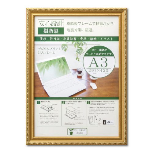 大仙 額縁 OA額 金消 R A3 樹脂製 シュリンクパック J045B6300