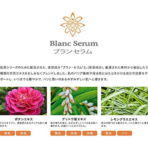 肌美華 KIBIKA 洗顔フォームサムネイル4