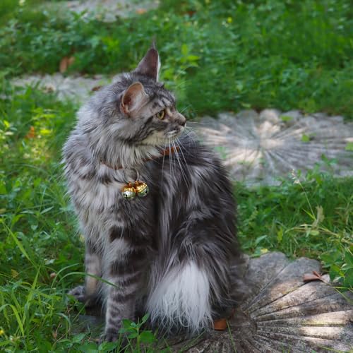 DORUI 4 Cat Bells, Copper Bell for Dog and Cat Collar, Pet Tracker Training Bells for Small Medium Large Dogs(Mix color)