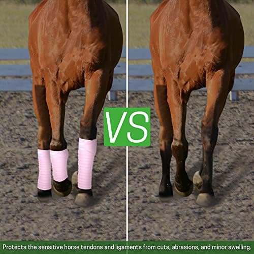 40 Best Leg Wraps For Horses In 2023